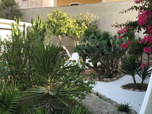Apartamento Borgo Acqua