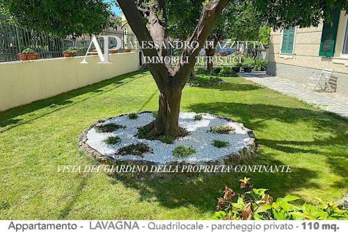Apartamento Casa Ceo