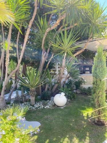 Charming Sea View Villa With Pool - Praialonga