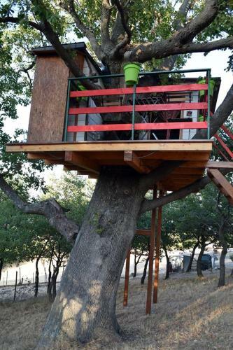 Casa Sull'albero