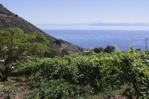 Apartamento UNA Terrazza Sulla Malvasia