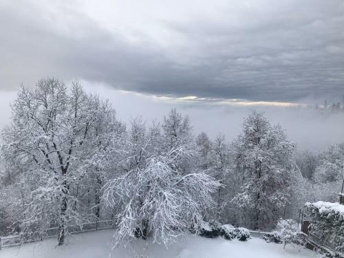 Appartamento In Villa Sulla Collina Di Torino