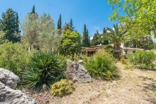 Villa Sioneta