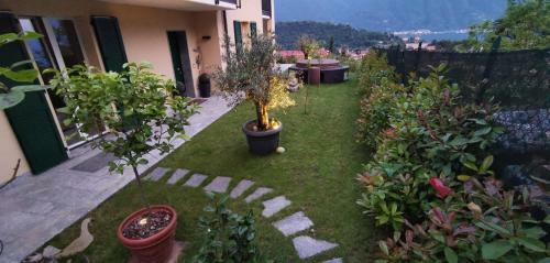 Apartamento Magic Garden Como-pool-jacuzzi And Amazing Lake View