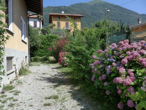 Hostal La Tana Rooms