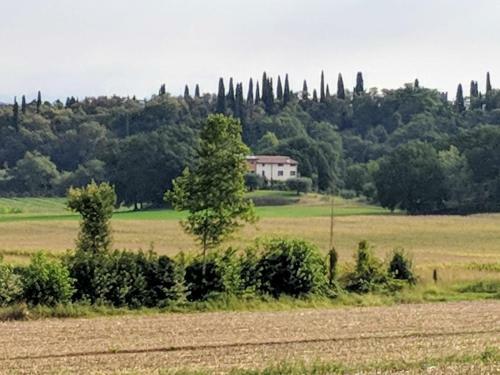 Agroturismo Agriturismo Le Caldane