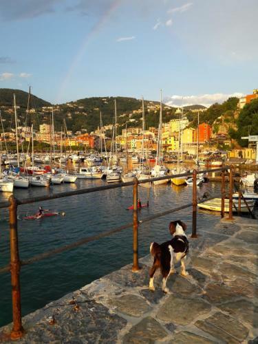 Apartamento Bilocale Nel Borgo Storico Lerici