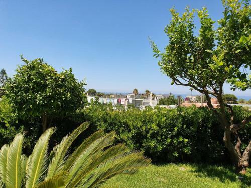 Apartamento Exclusive Luxury Villa In Forio