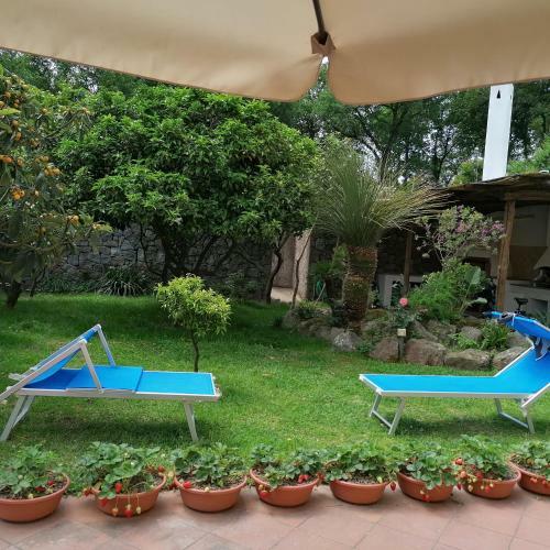 Apartamento A Casa