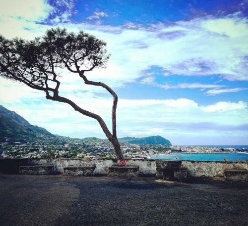 Ischia � Vita !