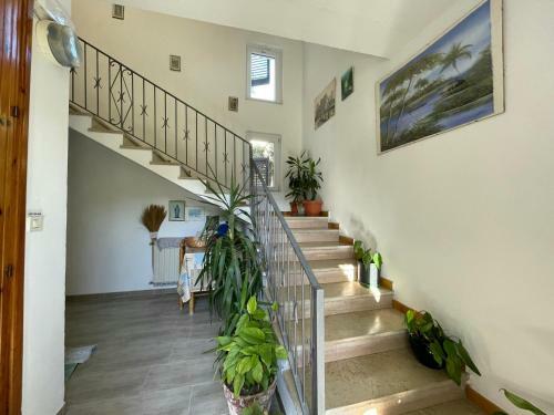 Apartamento Villa Dei Sogni