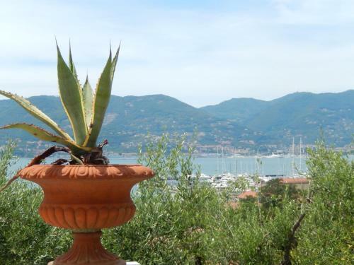 Apartamento Le Agavi Del Golfo