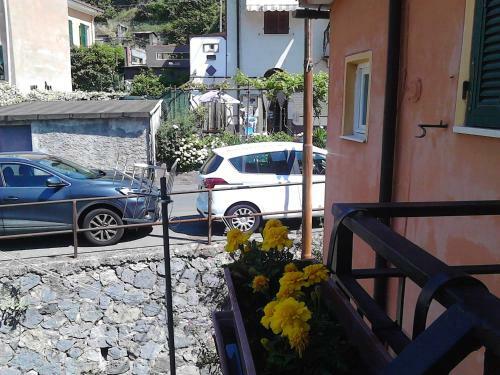 Apartamento Mare, Monti E...cinque Terre