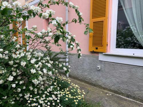 Apartamento Casa Righetti