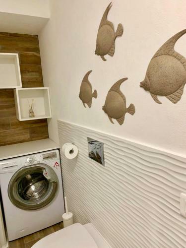 Apartamento Il Parco - Alloggio Eva