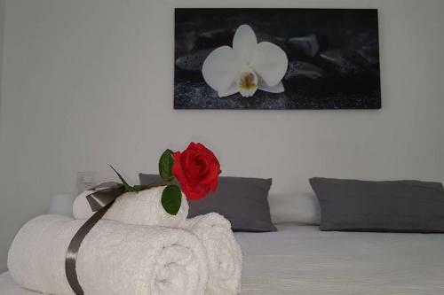 Apartamento Il Nido Della Zia