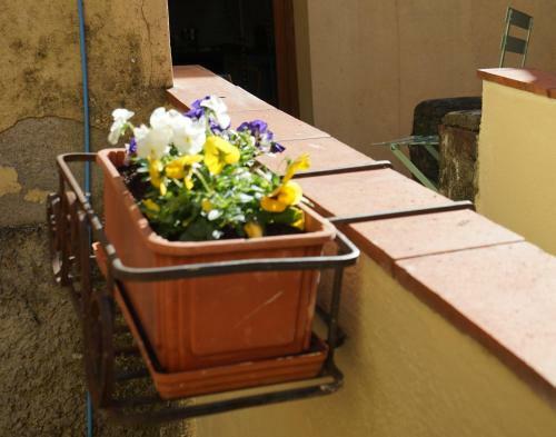 Apartamento Str� House 11