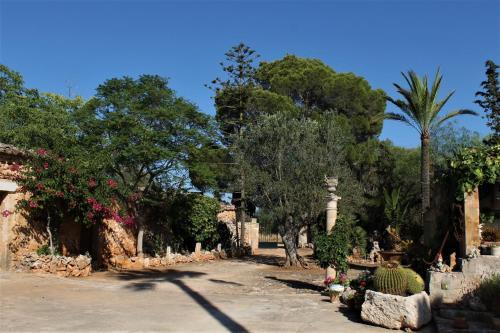 Agroturismo Finca Son Pieras