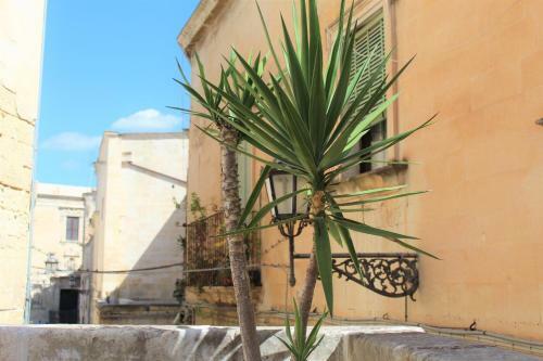 Bed & Breakfast Dimora Vico Dei Nohi