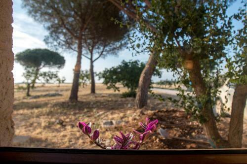 Agroturismo Sitamara