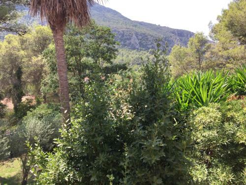 Villa Fuente