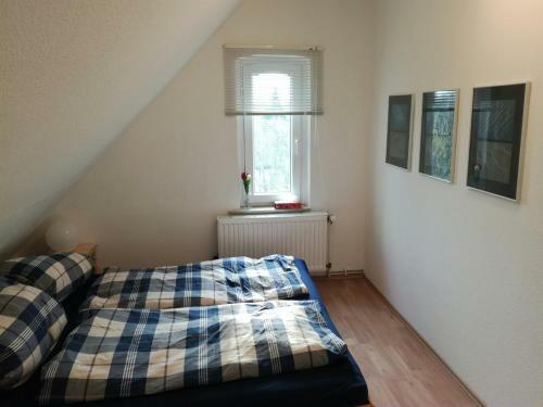 Apartment Wuelfel
