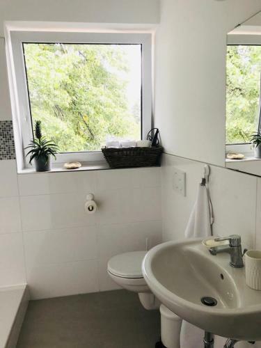 Apartamento Martins Guesthouse Wohnungen
