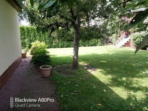 Apartamento Ferienwohnung Gr�ssner