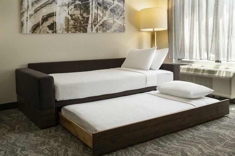 Hotel Springhill Suites Fort Worth University