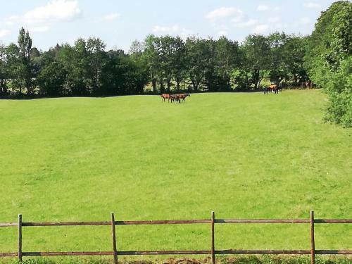 Apartamento Ferienwohnung An Der Schwebef�hre