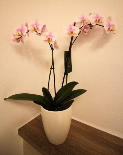 Apartamento Hofreite