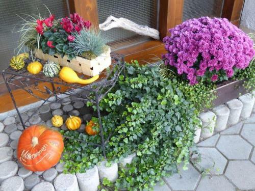 Apartamento Ferienwohnung S�ntisblick