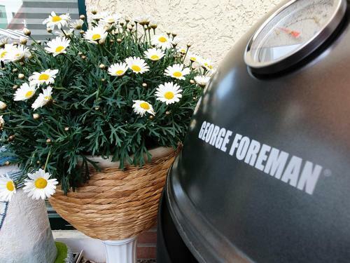 Apartamento Ferienwohnung "gode Tiet" Bi Margret