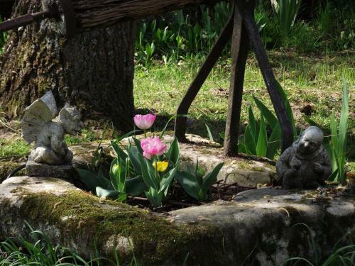 Bed & Breakfast Chambre D'h�tes Le Vaujoint