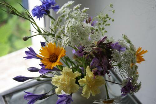 Bed & Breakfast Les Cerisieres