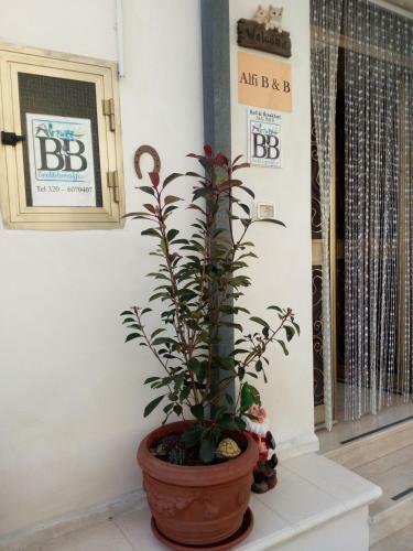 Bed & Breakfast Alfi Beb