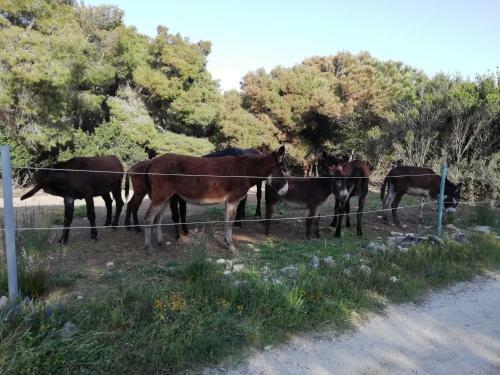 Bed & Breakfast Mattei Domus