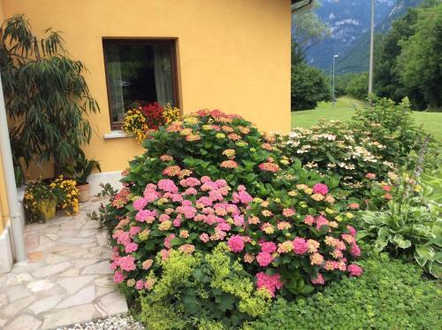 Bed & Breakfast Casa Edith