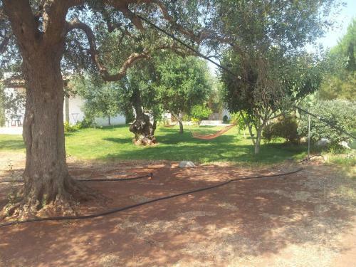 Apartamento Gli Ulivi Residence