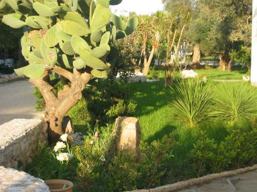 Apartamento Gli Ulivi Residence