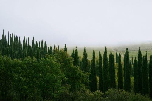 Apartamento Tenuta Bibbiano Chianti Classico