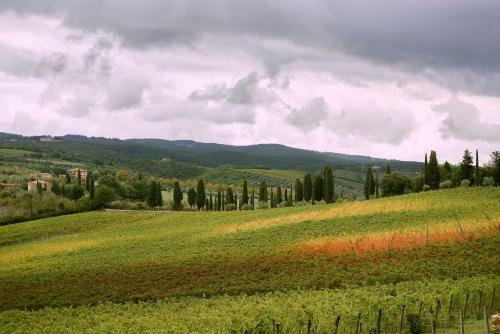 Apartamento Tenuta Bibbiano Chianti Classico