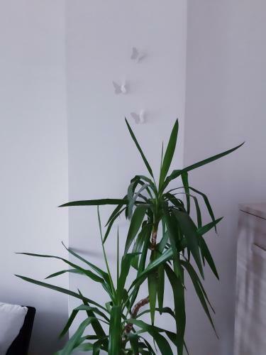 Apartamento Mariel Holiday Home