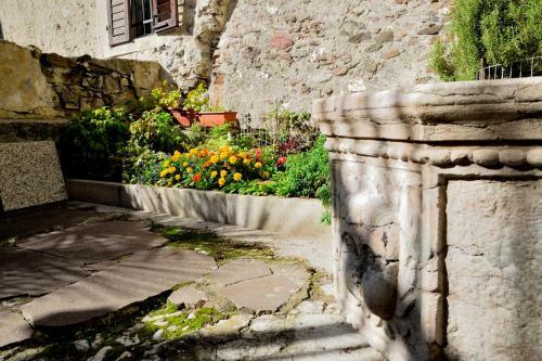 Apartamento Coccole Nel Fienile