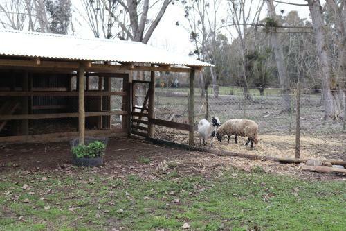 Apartamento Turismo Rural Lo Vilches