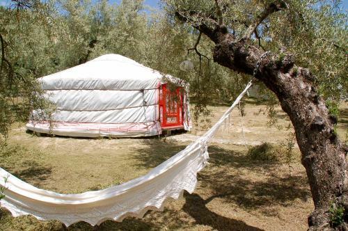 Bed & Breakfast Valle De Oro