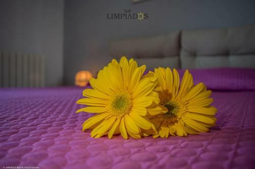 Limpiados Bed & Breakfast