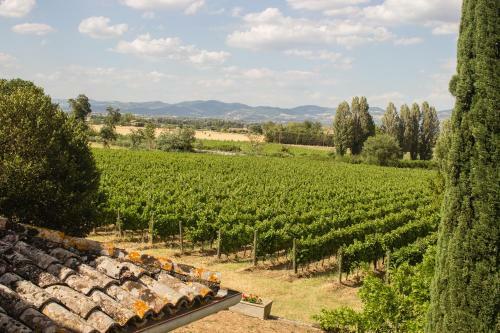 Country House Carmelita