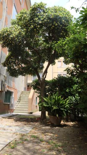 Hostal Two Steps From The Sea Venezia Lido