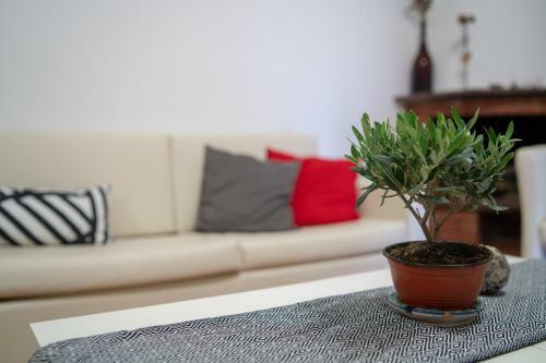 Agroturismo Villa Panella